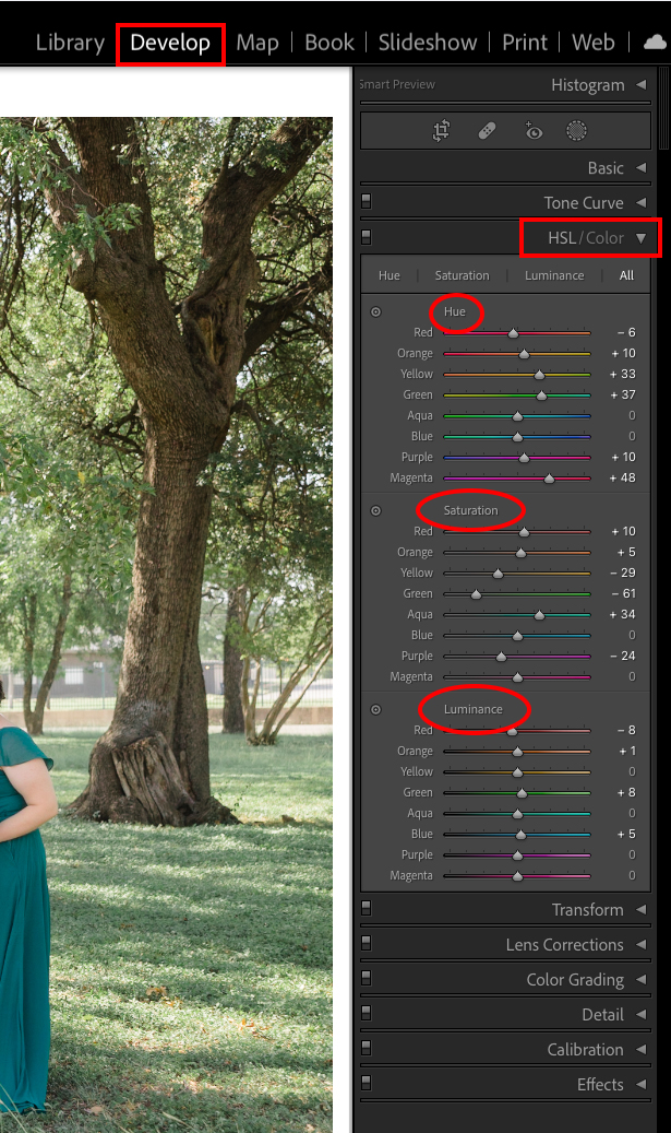 How to Use the HSL Handles in Lightroom